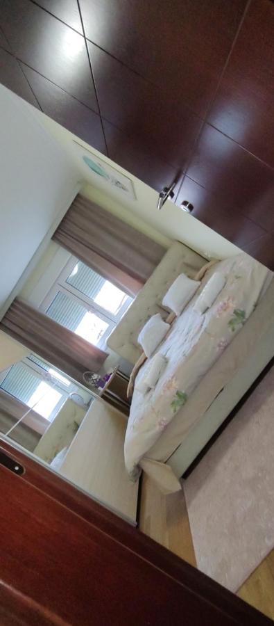 Vrnjačka Banja Apartman Mali Raj מראה חיצוני תמונה